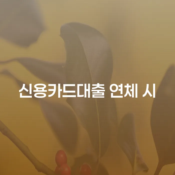 개인회생사건번호조회 신용회복 해결 할 수 있을까?