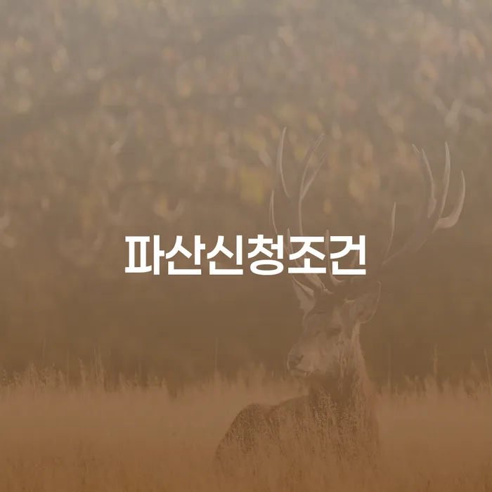 개인회생법무사비용 카드빚 연체 관련정보