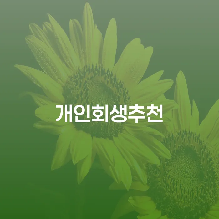대구 카드론연체 개인회생 추천하는 변호사