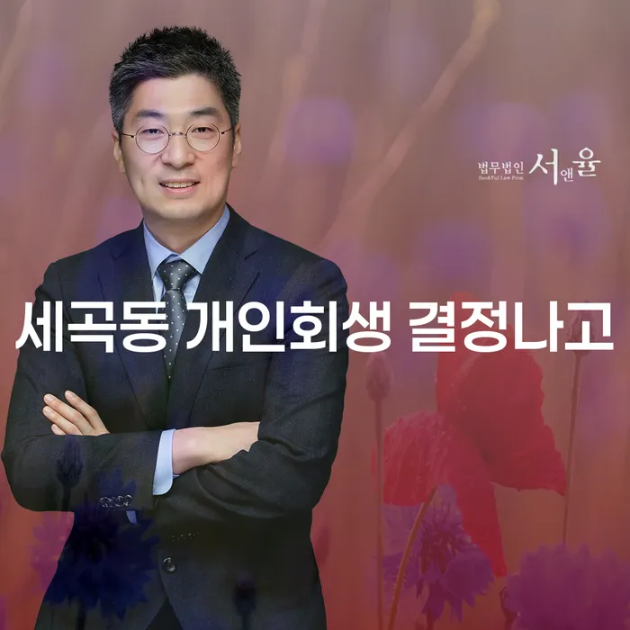 세곡동 개인회생 결정나고