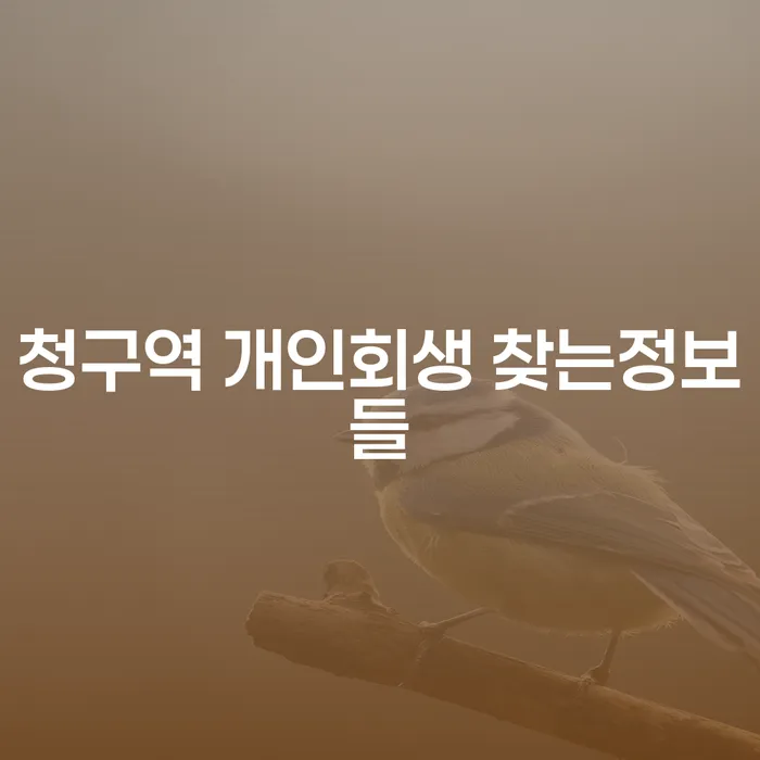 청구역 개인회생 찾는정보들