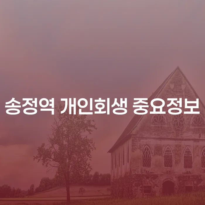 송정역 개인회생 중요정보