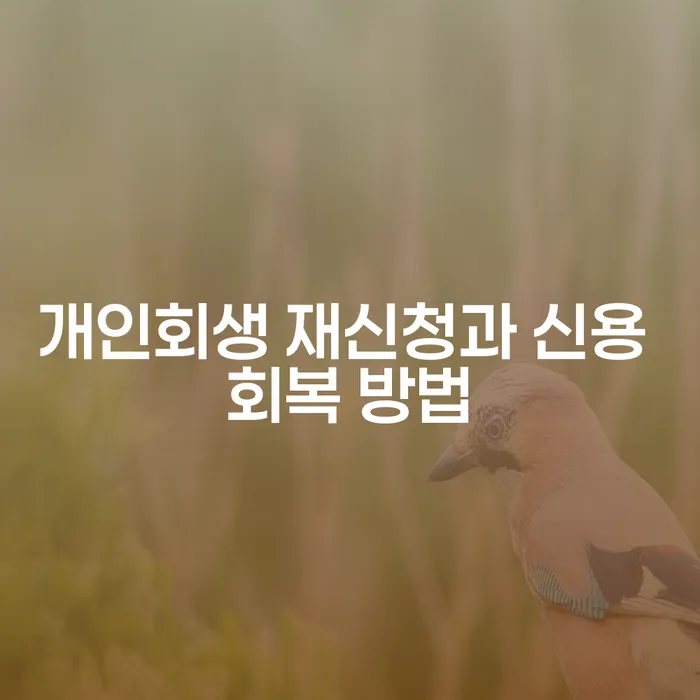 개인회생 재신청과 신용 회복 방법: 어떻게 시작해야 할까요?