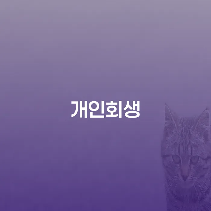 대흥동 개인회생 절차와 장점