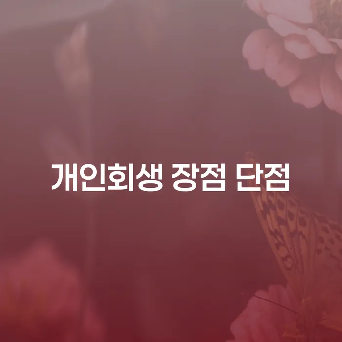 신월6동 개인회생 절차와 유의사항