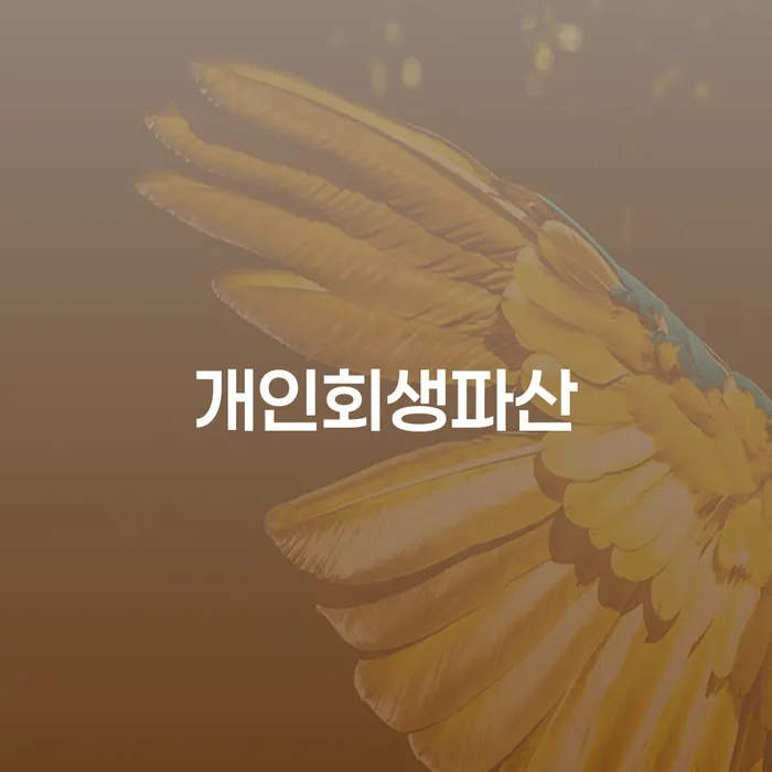 서초구 개인회생 파산 절차와 사례