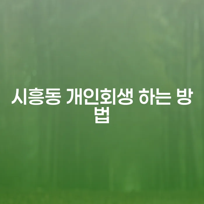 시흥동 개인회생 하는 방법, 채무로부터 벗어나는 전략!