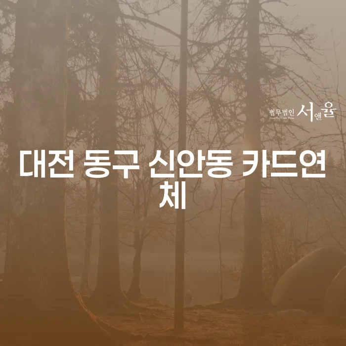 대전 동구 신안동 카드연체 문제, 어떻게 해결할 수 있을까요?