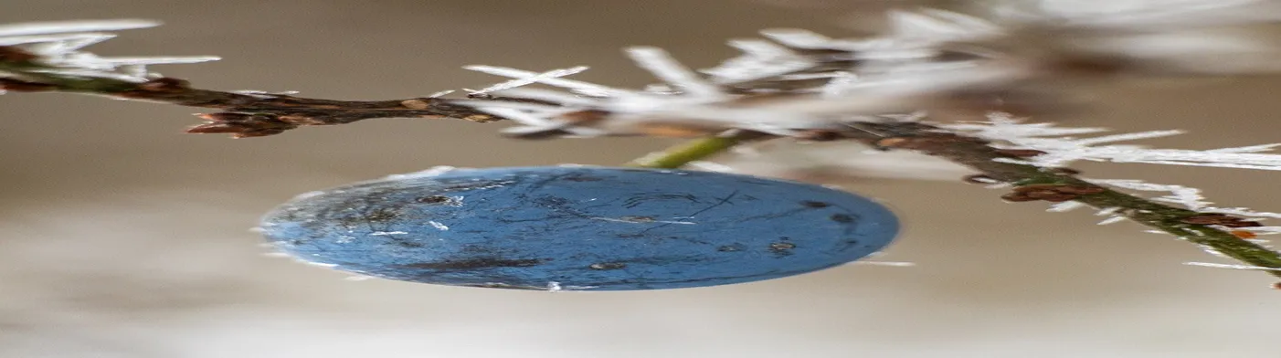 법무법인 서앤율