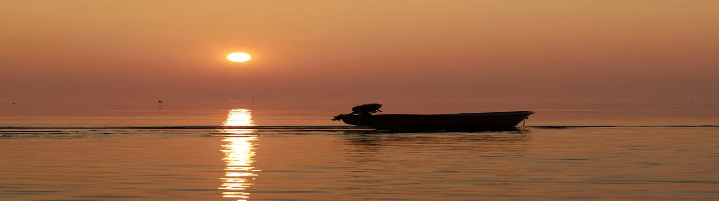 법무법인 서앤율